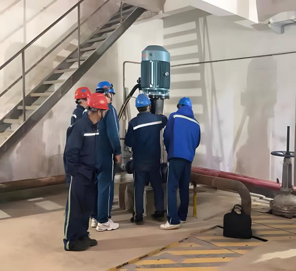 國(guó)投貴溪電廠2X660Mw火電機(jī)組立式長(zhǎng)軸泵